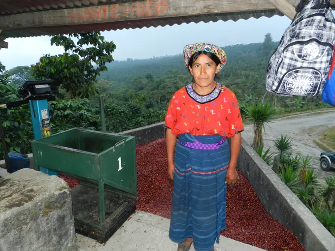 Mujer con traje tipico junto a cerezas de cafe