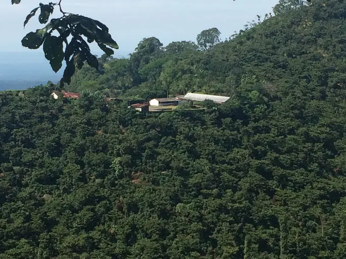 Vista de la finca rodeada de bosque en la montana