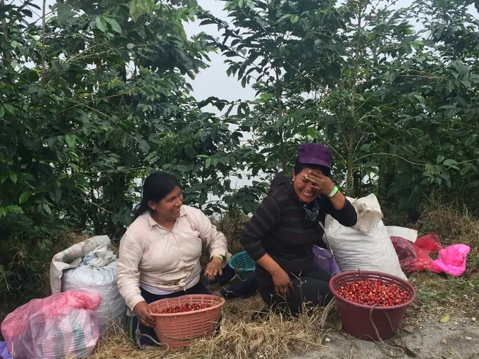 Culpan farm photo