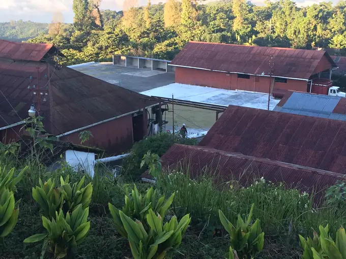 Dos mujeres recolectoras riendo durante la cosecha