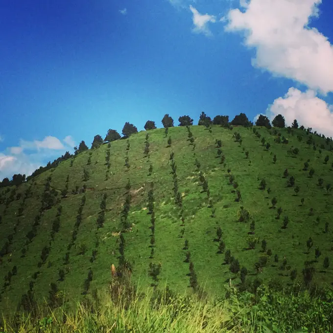 Edificios del beneficio de cafe rodeados de bosque