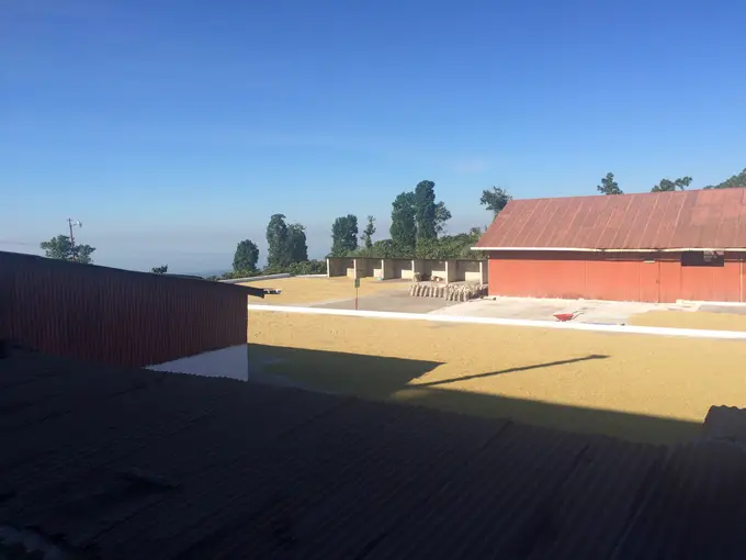 Patios de secado y bodegas del beneficio bajo cielo azul