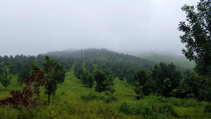 Cerros con neblina sobre campos verdes de la finca