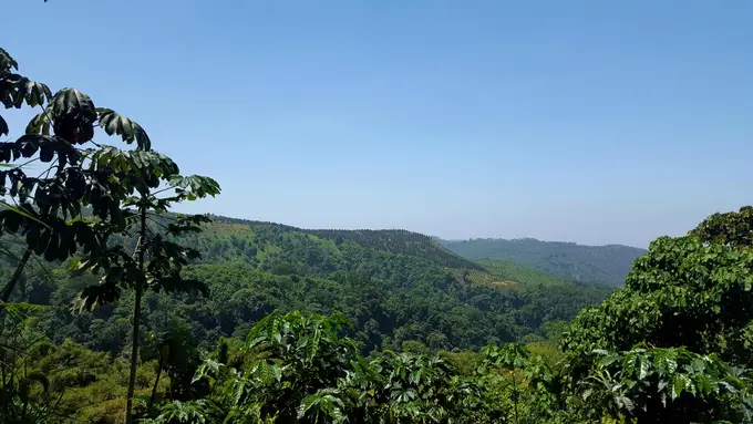 Montanas boscosas y cielo azul desde la finca
