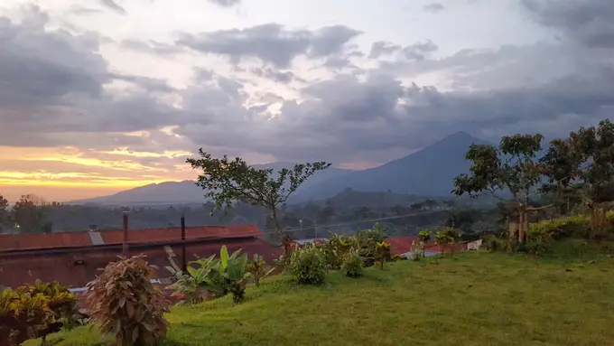 Volcan Santiaguito al atardecer desde la finca