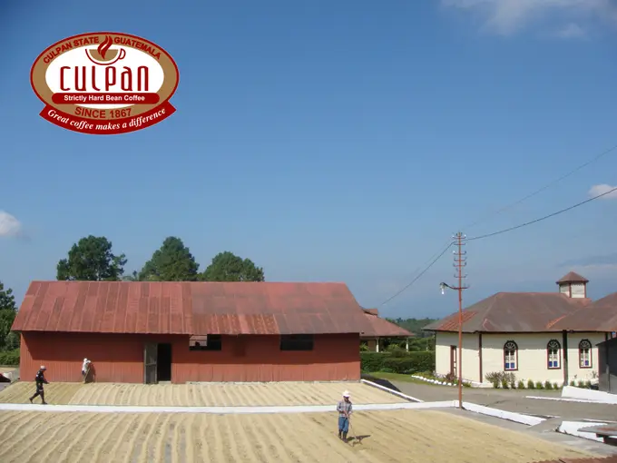 Patios de secado de cafe junto a las bodegas