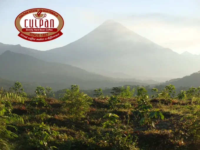 Volcan Santiaguito al amanecer sobre la finca