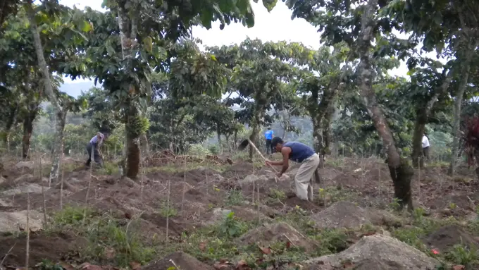Culpan farm photo