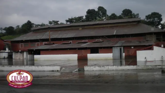 Bodega de beneficio de cafe en dia lluvioso