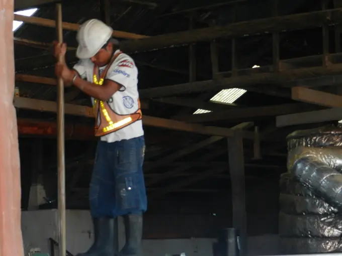 Trabajador removiendo cafe dentro de bodega