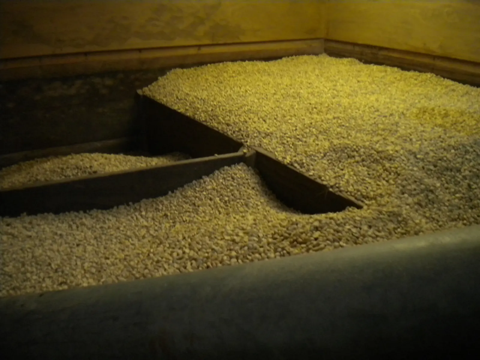 Cafe en pergamino seco almacenado en la bodega de Culpan