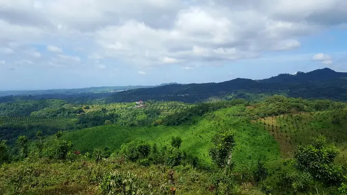 Vista panoramica de cerros y campos de la finca