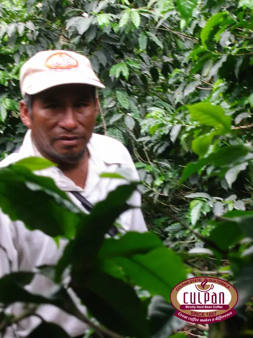 Retrato de trabajador en el cafetal