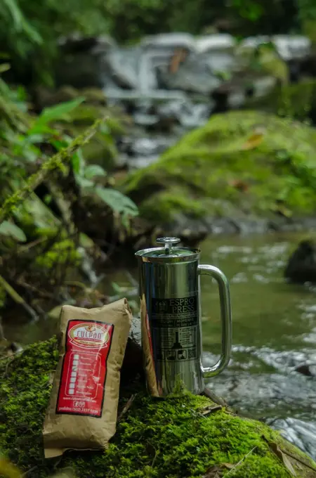 Cafe Culpan empacado junto a riachuelo del bosque