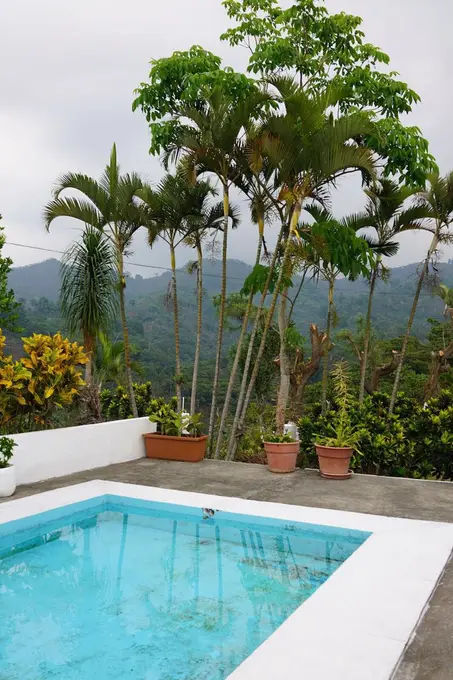 Piscina rodeada de palmeras y montanas