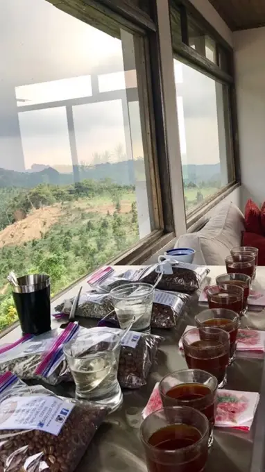 Cata de cafe con muestras frente a la ventana