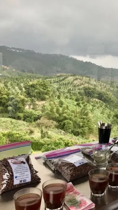Cata de cafe con vista al cafetal en laderas