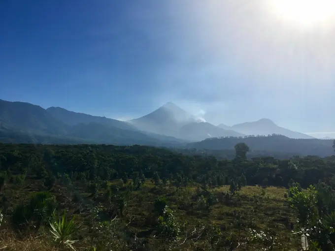 Volcan Santiaguito humeante sobre campos verdes
