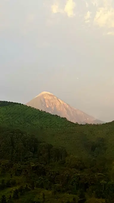 Cumbre del volcan al atardecer sobre el bosque