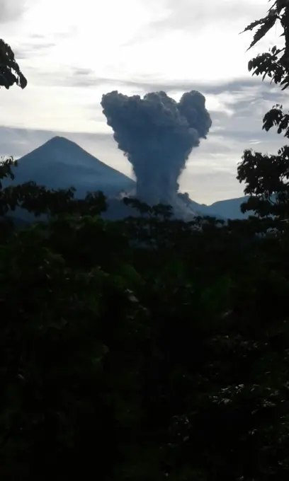 Erupcion del volcan Santiaguito vista del bosque