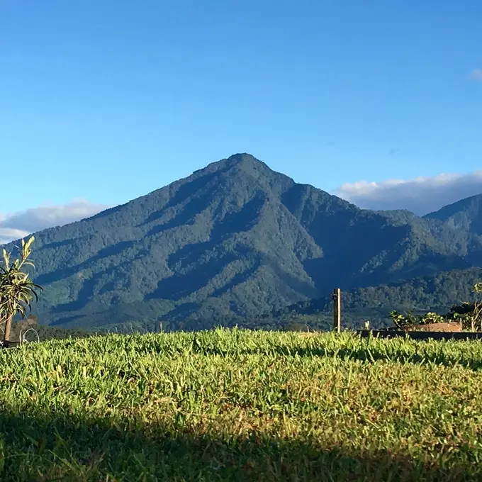 Cerro Santiaguito sobre potrero verde de la finca