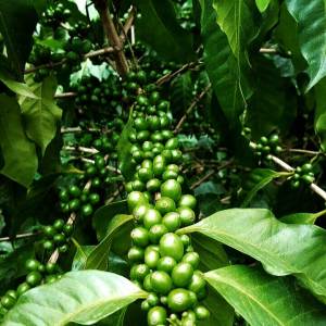 IMG_20150607_100554 (2)